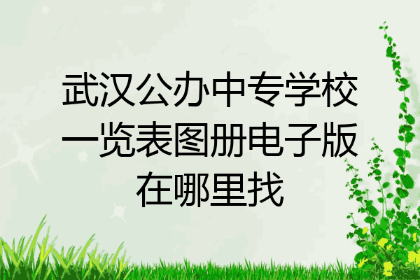 武汉公办中专学校一览表图册电子版在哪里找