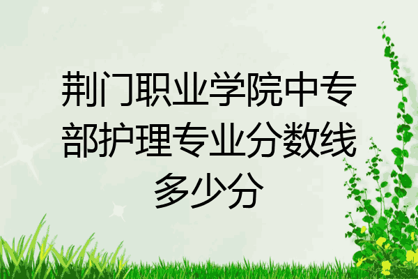 荆门职业学院中专部护理专业分数线多少分
