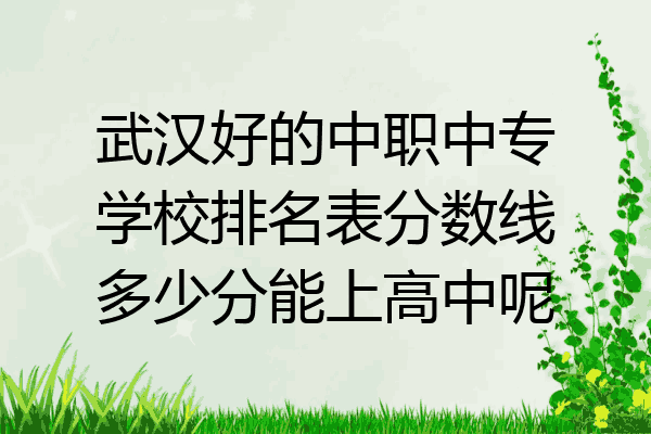 武汉好的中职中专学校排名表分数线多少分能上高中呢