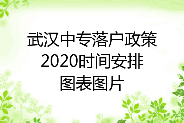 武汉中专落户政策2020时间安排图表图片