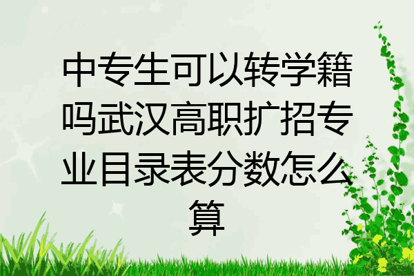 中专生可以转学籍吗武汉高职扩招专业目录表分数怎么算