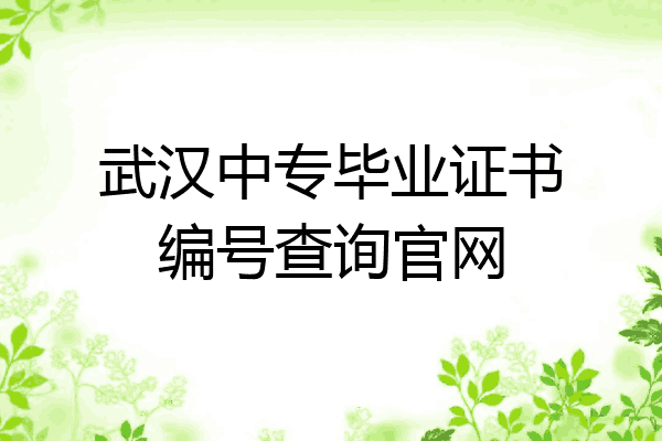 武汉中专毕业证书编号查询官网
