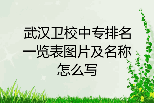 武汉卫校中专排名一览表图片及名称怎么写