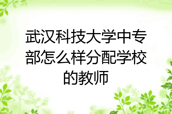 武汉科技大学中专部怎么样分配学校的教师