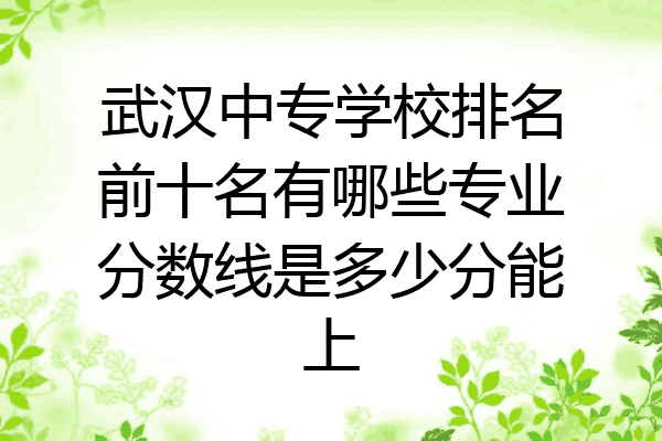 武汉中专学校排名前十名有哪些专业分数线是多少分能上