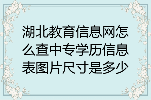 湖北教育信息网怎么查中专学历信息表图片尺寸是多少
