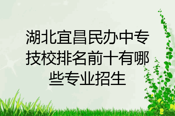 湖北宜昌民办中专技校排名前十有哪些专业招生