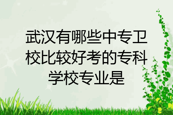 武汉有哪些中专卫校比较好考的专科学校专业是
