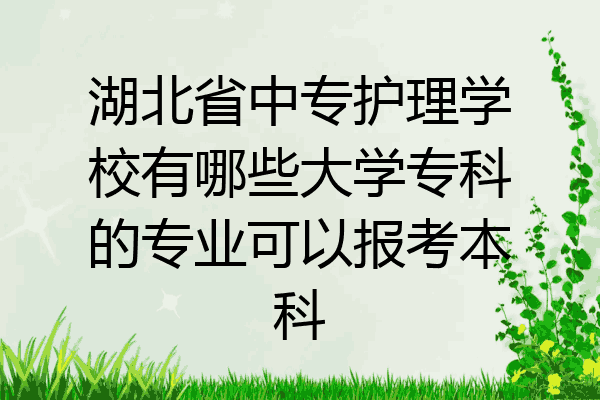 湖北省中专护理学校有哪些大学专科的专业可以报考本科