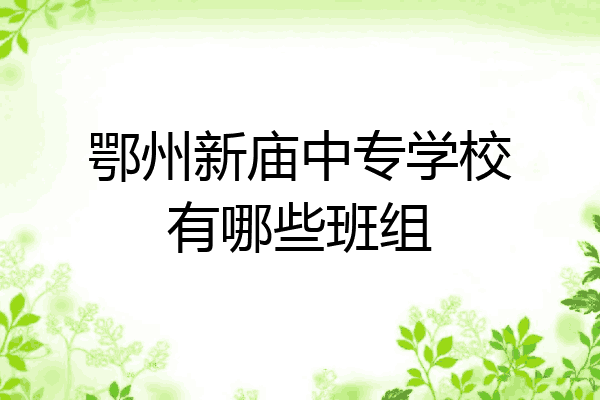 鄂州新庙中专学校有哪些班组