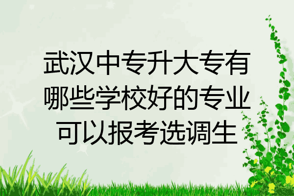武汉中专升大专有哪些学校好的专业可以报考选调生