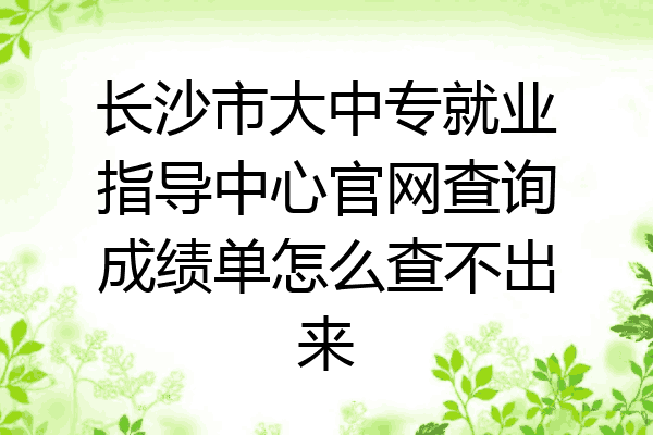 长沙市大中专就业指导中心官网查询成绩单怎么查不出来