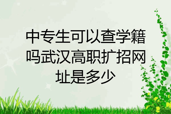中专生可以查学籍吗武汉高职扩招网址是多少