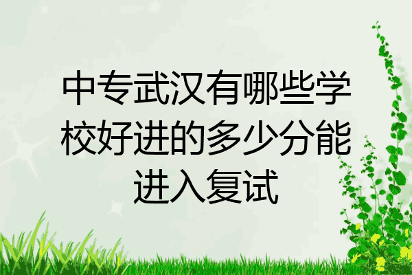 中专武汉有哪些学校好进的多少分能进入复试