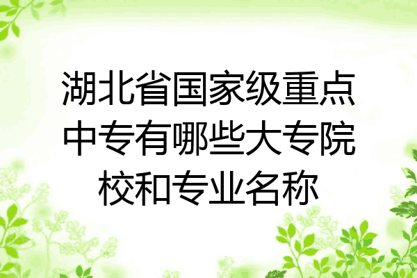 湖北省国家级重点中专有哪些大专院校和专业名称