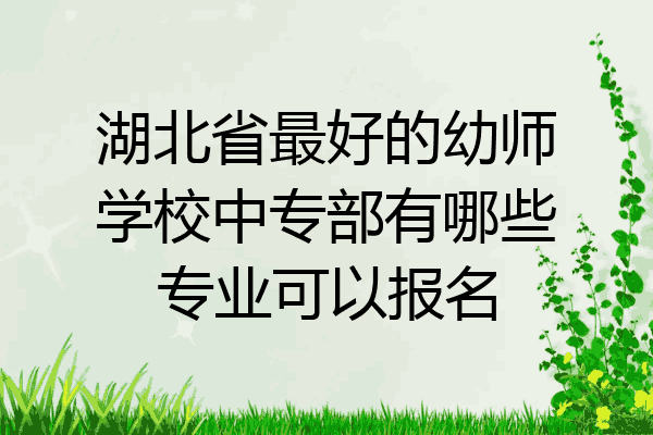湖北省最好的幼师学校中专部有哪些专业可以报名