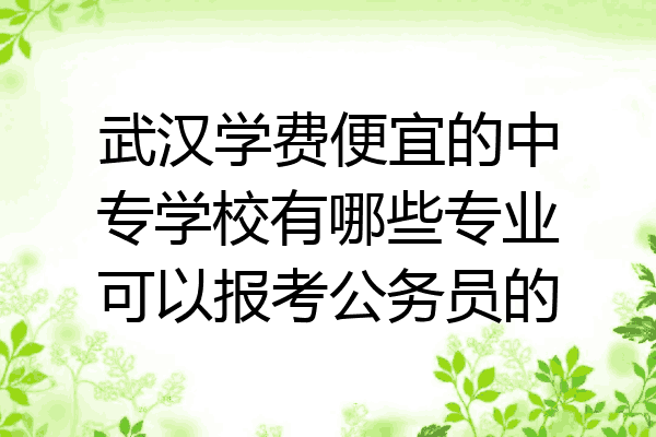 武汉学费便宜的中专学校有哪些专业可以报考公务员的