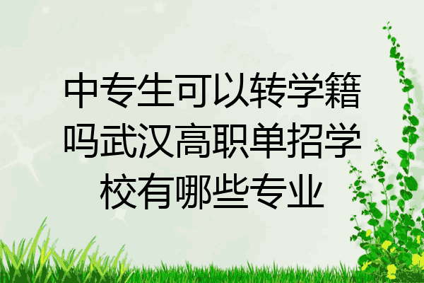 中专生可以转学籍吗武汉高职单招学校有哪些专业