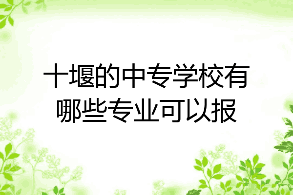 十堰的中专学校有哪些专业可以报