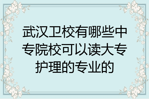 武汉卫校有哪些中专院校可以读大专护理的专业的