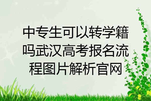 中专生可以转学籍吗武汉高考报名流程图片解析官网