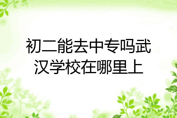 初二能去中专吗武汉学校在哪里上