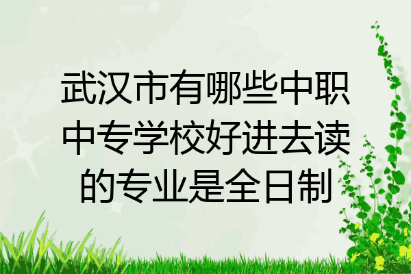 武汉市有哪些中职中专学校好进去读的专业是全日制