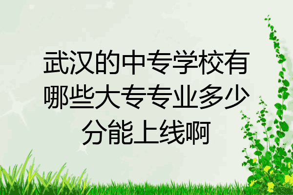 武汉的中专学校有哪些大专专业多少分能上线啊
