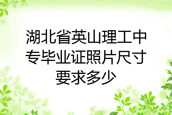 湖北省英山理工中专毕业证照片尺寸要求多少