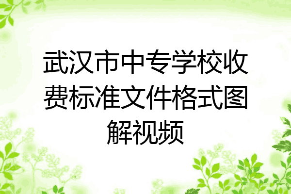 武汉市中专学校收费标准文件格式图解视频