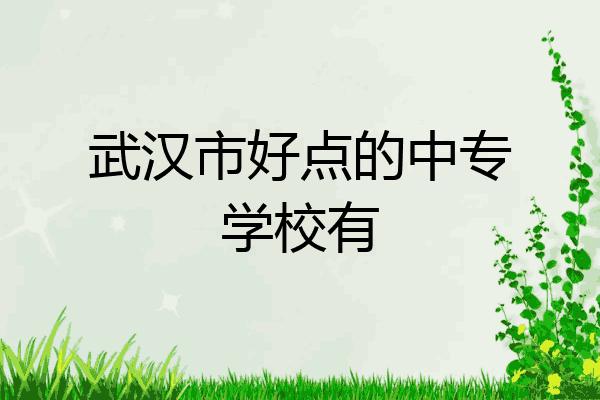 武汉市好点的中专学校有