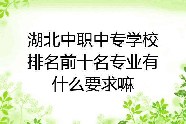湖北中职中专学校排名前十名专业有什么要求嘛