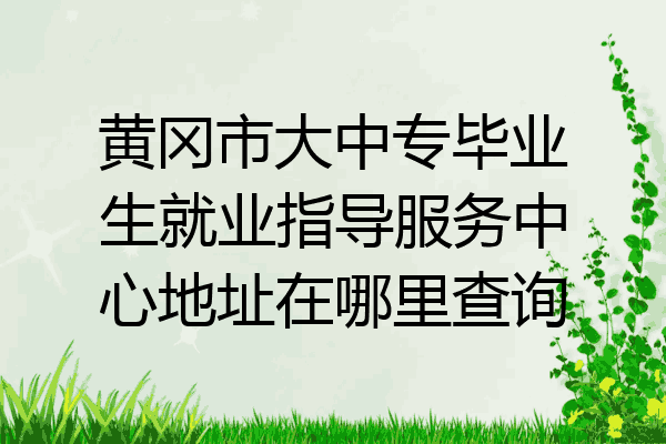 黄冈市大中专毕业生就业指导服务中心地址在哪里查询