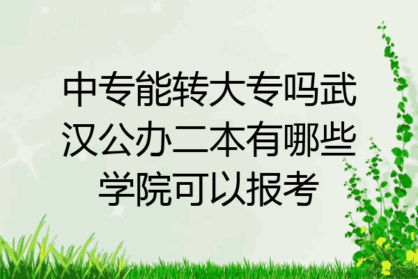 中专能转大专吗武汉公办二本有哪些学院可以报考