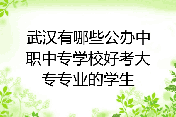 武汉有哪些公办中职中专学校好考大专专业的学生