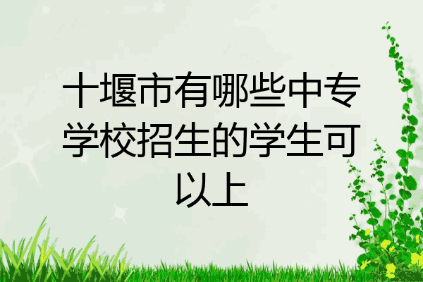 十堰市有哪些中专学校招生的学生可以上