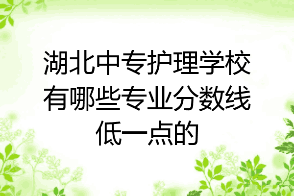 湖北中专护理学校有哪些专业分数线低一点的