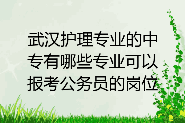 武汉护理专业的中专有哪些专业可以报考公务员的岗位