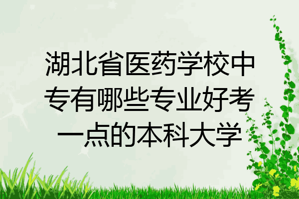 湖北省医药学校中专有哪些专业好考一点的本科大学