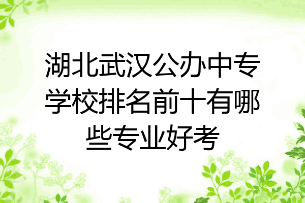 湖北武汉公办中专学校排名前十有哪些专业好考