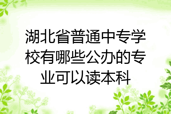 湖北省普通中专学校有哪些公办的专业可以读本科