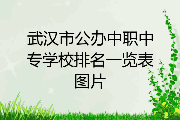武汉市公办中职中专学校排名一览表图片