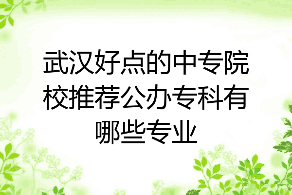武汉好点的中专院校推荐公办专科有哪些专业