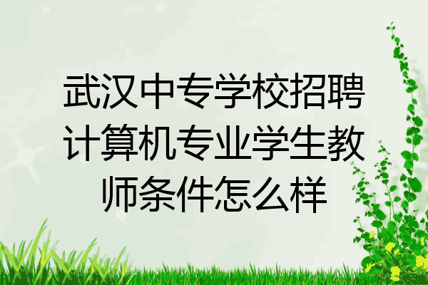 武汉中专学校招聘计算机专业学生教师条件怎么样