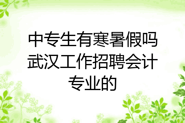 中专生有寒暑假吗武汉工作招聘会计专业的