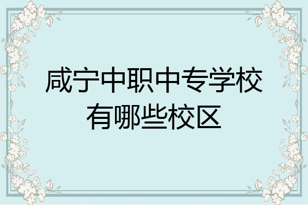 咸宁中职中专学校有哪些校区
