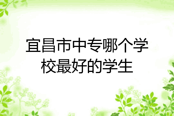 宜昌市中专哪个学校最好的学生