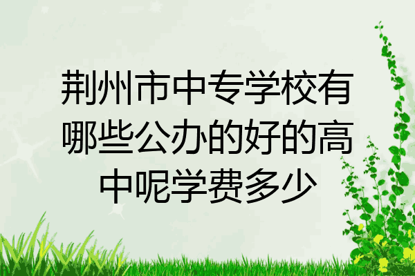 荆州市中专学校有哪些公办的好的高中呢学费多少