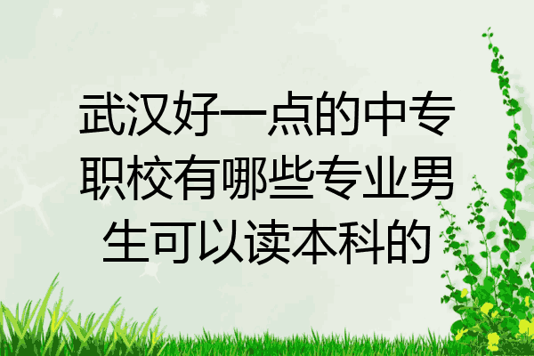 武汉好一点的中专职校有哪些专业男生可以读本科的