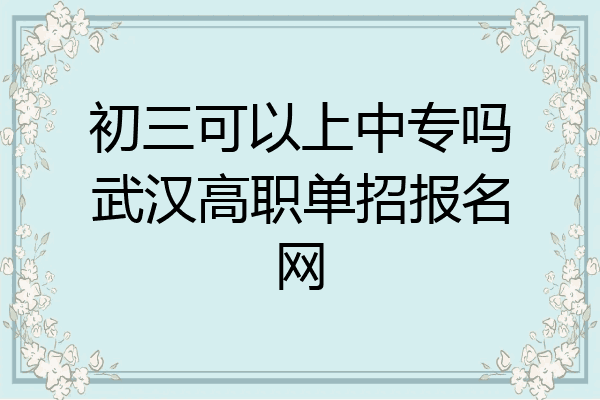 初三可以上中专吗武汉高职单招报名网